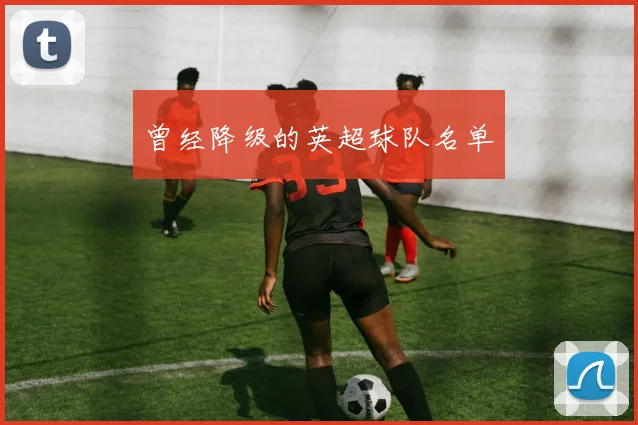 曾经降级的英超球队名单