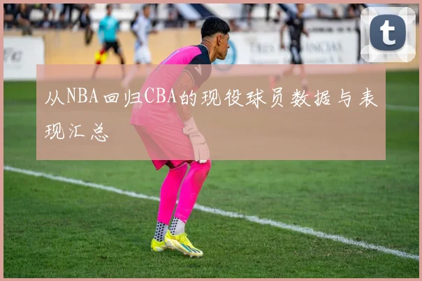 从NBA回归CBA的现役球员数据与表现汇总