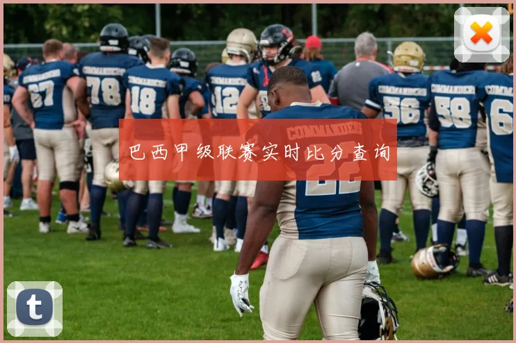 巴西甲级联赛实时比分查询