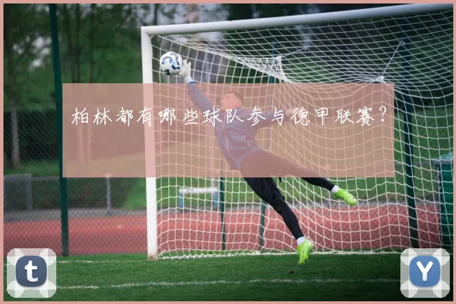 柏林都有哪些球队参与德甲联赛？