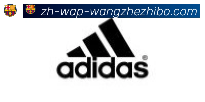 王者体育合作伙伴